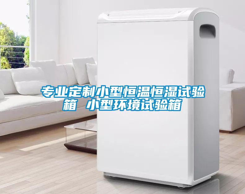 专业定制小(xiǎo)型恒温恒湿试验箱 小(xiǎo)型环境试验箱
