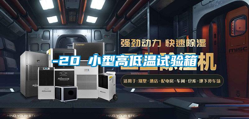 -20℃小(xiǎo)型高低温试验箱
