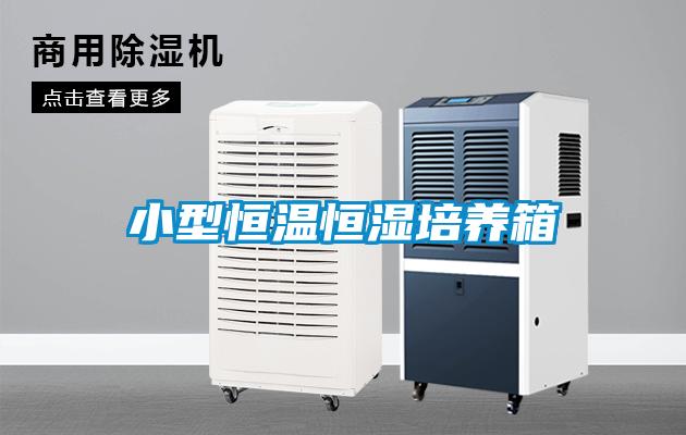 小(xiǎo)型恒温恒湿培养箱