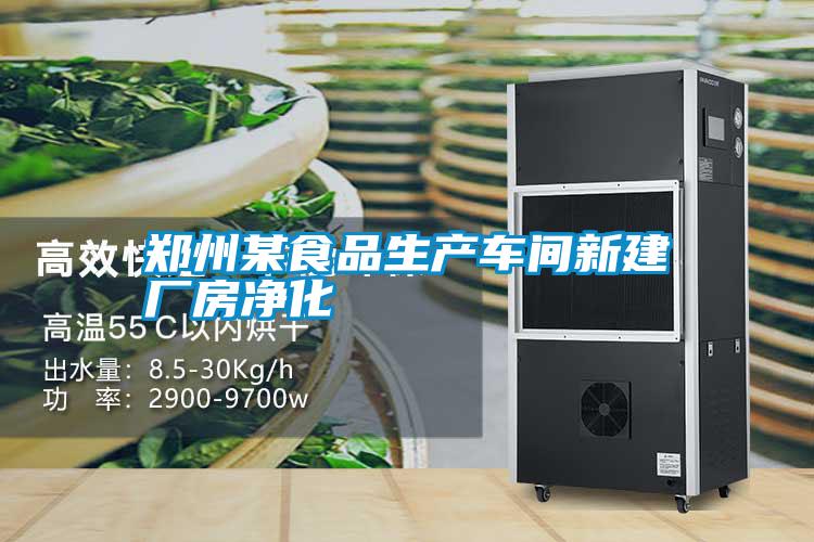 郑州某食品生产車(chē)间新(xīn)建厂房净化